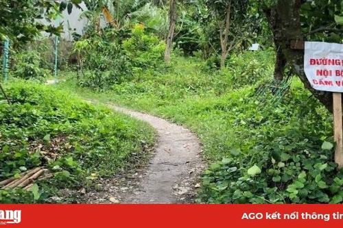 Sẽ tái lập lại đường giao thông theo kiến nghị người dân