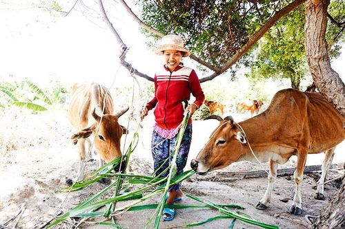 Nhiều địa phương không có nợ quá hạn