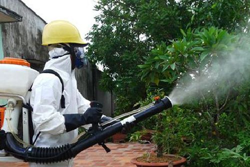 Tăng cường phòng, chống bệnh sốt xuất huyết