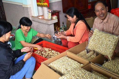Mắc ca vùng xa xuất ngoại