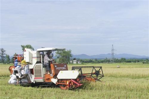 Hiệu quả từ công tác dân vận trong xây dựng Hợp tác xã Phước Thị
