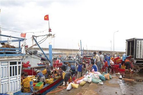Vĩnh Linh tạo bước bứt phá trong phát triển kinh tế