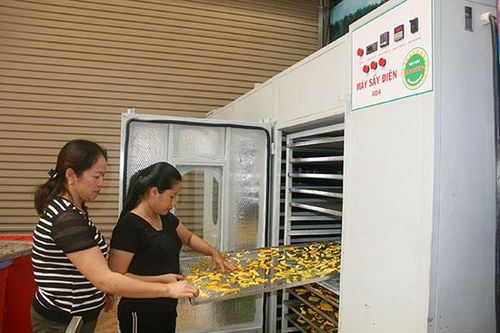 Sản phẩm hoa quả sấy khô của HTX Quyết Thanh