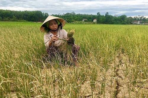 Ứng dụng khoa học, công nghệ trong phòng, chống thiên tai