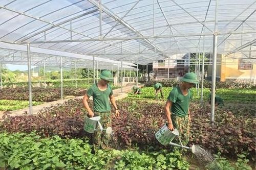 Chính trị - Xã hội An ninh - Quốc Phòng Tăng gia cải thiện đời sống