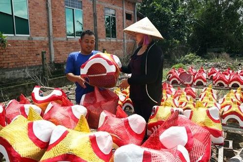 Người trẻ giữ nghề làm đầu lân giấy truyền thống