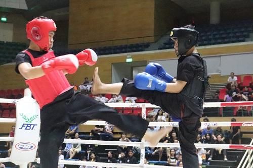 Đà Nẵng: Khai mạc Giải trẻ và Vô địch các CLB Võ thuật cổ truyền thành phố