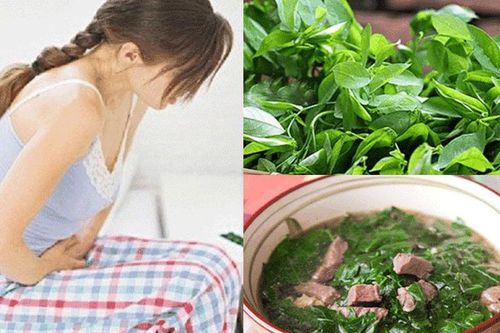 Ăn rau ngót chớ làm điều này kẻo mang bệnh lúc nào không hay