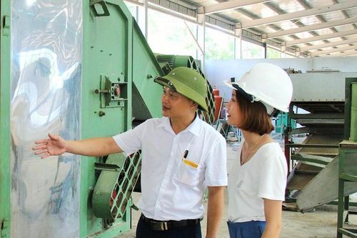 Công ty CP Mía đường Sông Lam đầu tư phát triển ngành chè