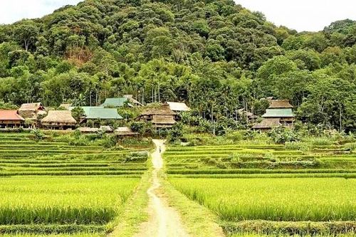 Bá Thước chuyển mình
