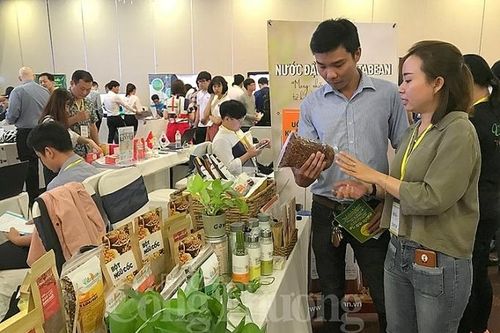 Vietnam Startup Day 2019: Kết nối đầu tư cho các mô hình khởi nghiệp