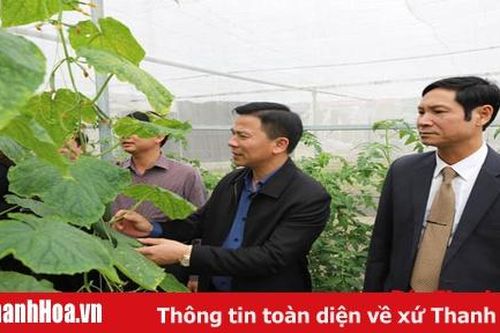 Phát huy truyền thống 70 năm, tập trung lãnh đạo xây dựng Như Xuân phát triển bền vững