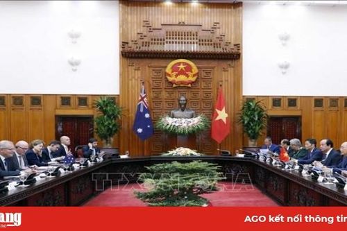 Sự phát triển mạnh mẽ, năng động và hiệu quả của quan hệ Việt Nam - Australia