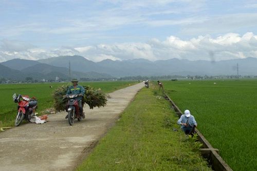 Cân đối nguồn vốn đầu tư phát triển thủy lợi