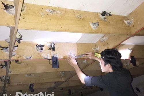 Bất cập khâu quản lý