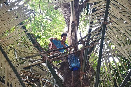'Bia' đoak và ốc đá làng Mèo