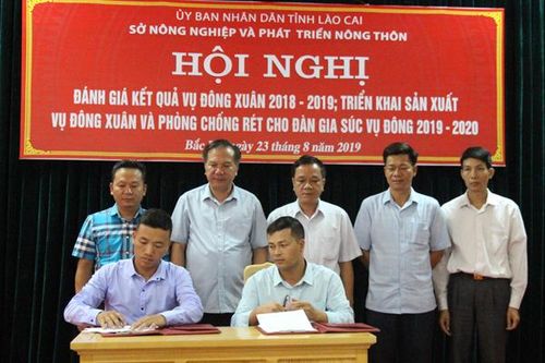 Vụ đông năm 2019 đặt mục tiêu trồng 10.000 ha cây trồng các loại