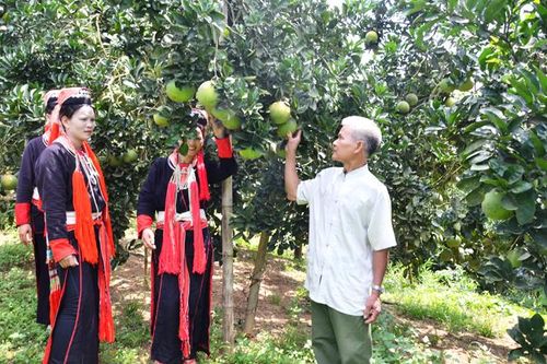 Phát huy vai trò 'cầu nối' của người có uy tín