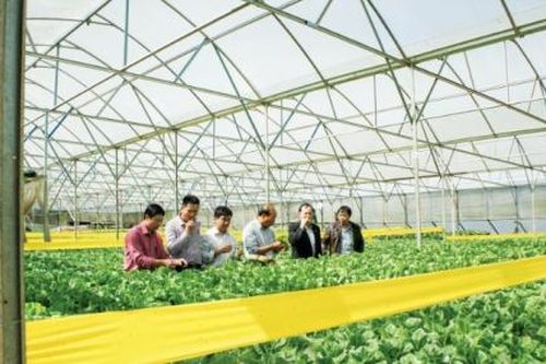 NHHT Thanh Hóa: Cộng hưởng sức mạnh cho QTDND thành viên
