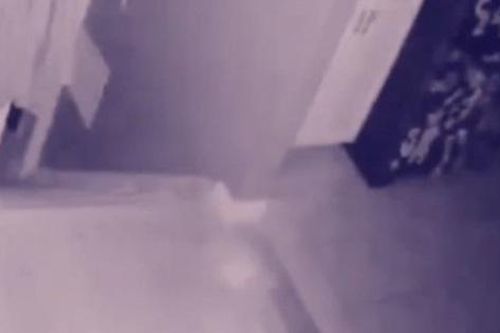 Chủ nhà phát hiện 'hồn ma' của em bé và thú cưng qua camera