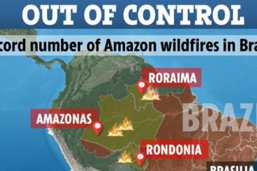 Rừng Amazon đang cháy với tốc độ kỷ lục: Thảm họa thế kỷ và nỗi đau đọng lại!