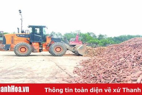 Giải pháp phát triển công nghiệp, tiểu thủ công nghiệp ở huyện Như Xuân