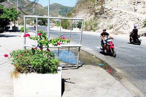 Nhiều giàn hoa giấy đổ ngã