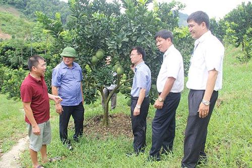 Đồng chí Phó Chủ tịch UBND tỉnh kiểm tra tiến độ xây dựng nông thôn mới tại huyện Phù Yên
