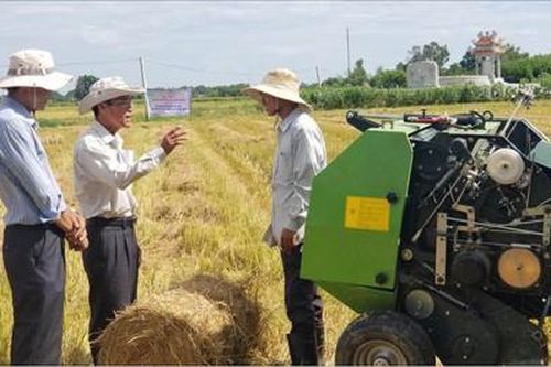 Kinh tế Nông nghiệp - Nông thôn Hạn chế lãng phí rơm rạ