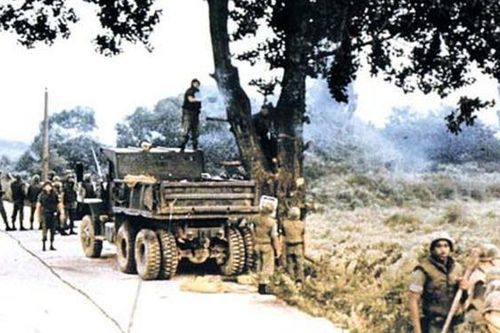 Chiến dịch chặt cây có tàu sân bay Mỹ hộ tống trên bán đảo Triều Tiên