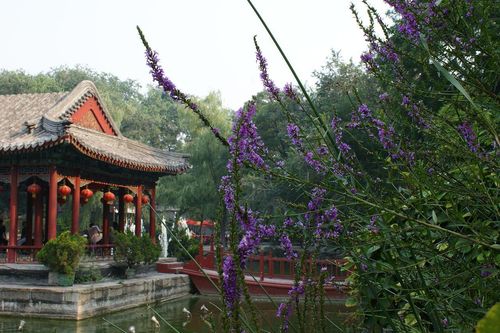 Choáng ngợp khối tài sản tham nhũng của gian thần Hòa Thân