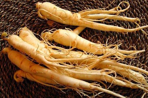 'Thần dược' nhân sâm đại kỵ với những người này, đừng dùng kẻo 'hối không kịp'