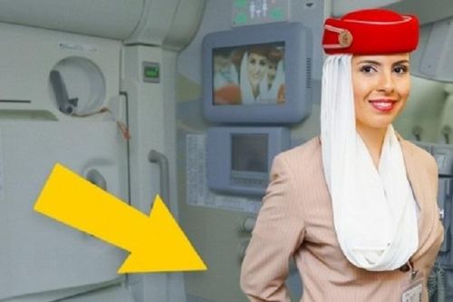 Vì sao tiếp viên hàng không thường khoanh tay sau lưng khi chào khách?