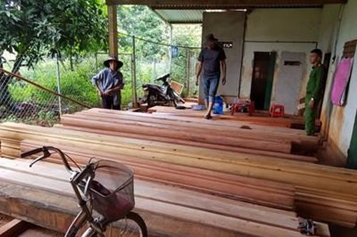 Vụ 'lâm tặc' thuê Thôn trưởng vào rừng khai thác gỗ: Hàng trăm m3 gỗ lậu đã đi về đâu?