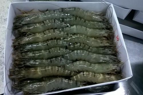 Hơn 30 doanh nghiệp xuất khẩu tôm vào Mỹ được hưởng thuế 0%