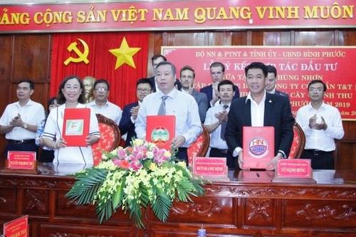 Hơn 1.700 tỷ đồng đầu tư vào nông nghiệp tại Bình Phước