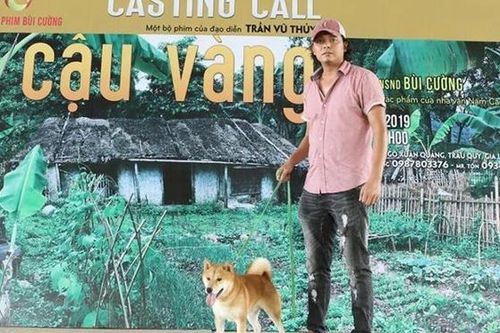 Phim 'Cậu Vàng' bị khán giả phản ứng gay gắt vì chọn chó Nhật