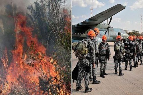 'Lá phổi thế giới' cháy dữ dội, Brazil điều hàng vạn lính dập lửa