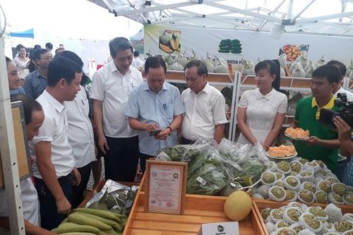 Hiệu quả từ việc kết nối cung - cầu nông sản, thực phẩm an toàn
