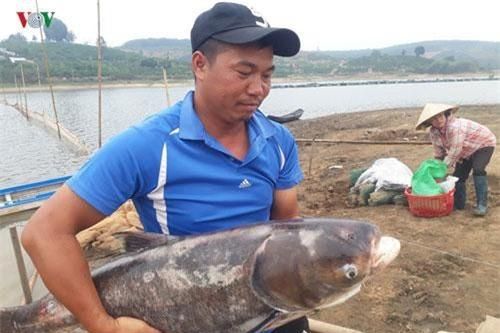 Kon Tum: Thu nhập 3 tỷ đồng/năm nhờ nuôi cá trên vùng đất ... cà phê
