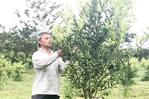 Một nông dân Raglai tiêu biểu