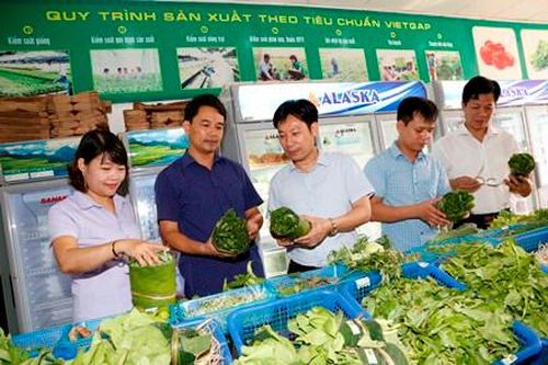Lãnh đạo Trung ương Hội Nông dân Việt Nam về thăm, làm việc với Hội Nông dân tỉnh