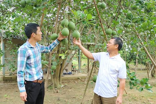 Khoa học kỹ thuật tạo sức bật cho sản xuất nông nghiệp
