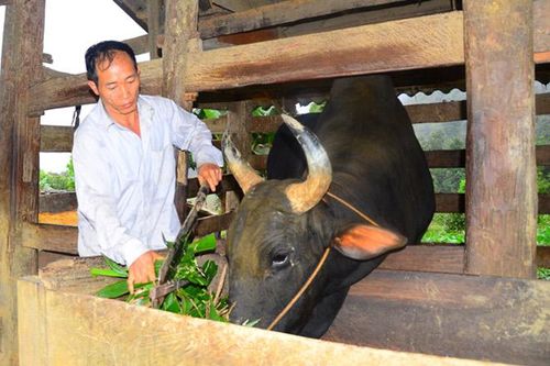 Chăm lo đời sống nhân dân ngày càng tốt hơn