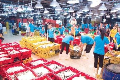 Đổi mới mô hình hợp tác xã đầu tư chợ