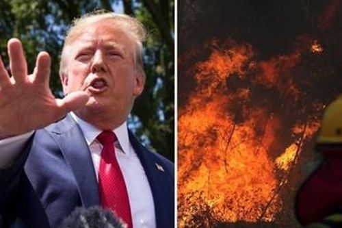 Ông Trump tung đòn thuế hiểm, 'Lá phổi của hành tinh' khẩn thiết kêu cứu