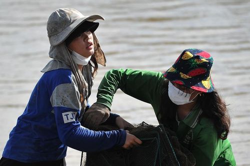 Dân miền Tây ngóng lũ như 'trời hạn trông mưa'