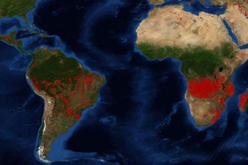 Hai đất nước này đang có nhiều vụ cháy hơn cả Brazil