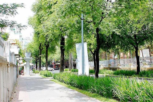 Giã từ 'mạng nhện'