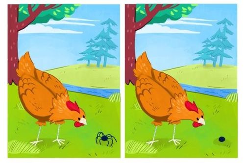 Đáp án tìm 8 điểm khác nhau giữa 2 bức tranh ngày 25/8
